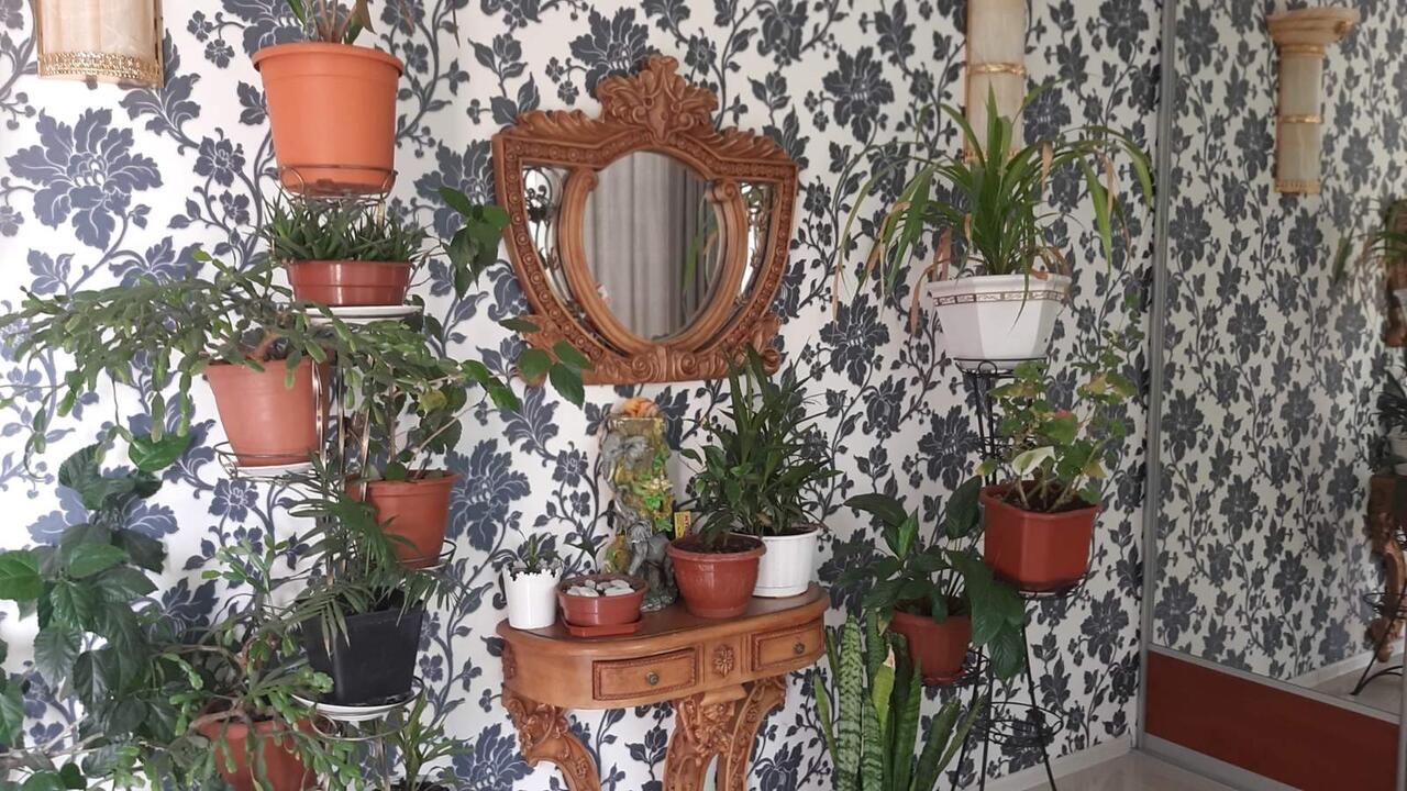 Апартаменты Дом на берегу моря Черноморск-10